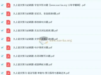 渊明老师初中语文新九年级暑假预习资料包