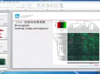 生物信息学进阶：基因与表观遗传数据分析实战课程