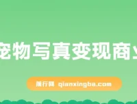 AI宠物写真变现商业课：全网爆火的宠物肖像定制项目