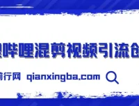 哔哩哔哩混剪视频与知识星球：零成本引流创业粉，日引300+