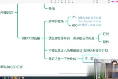 拼多多爆款训练营：大促流量与付费推广实战课程