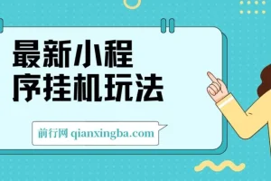 2024最新小程序挂机玩法：手机操作简单，日入900+当天见收益