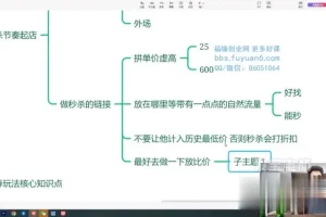 拼多多爆款训练营：大促流量与付费推广实战课程