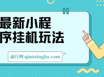 2024最新小程序挂机玩法：手机操作日入900+，简单易上手