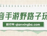 抖音手游野路子玩法：单视频收益4000+，轻松日入几千
