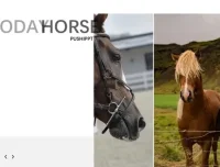 璞石PPT设计教程：从入门到精通的全面指南