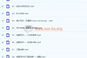 树成林雨君老师高考英语冲刺课程