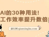 AI实用课：AI的30种用法，提升工作效率（31节课）
