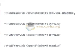 2025版小升初《阳光同学冲刺48天》小学数学