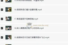 每天学点粤语：从粤语小白进阶为粤语达人