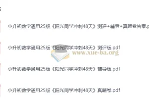 2025版小升初《阳光同学冲刺48天》小学数学