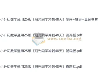 2025版小升初《阳光同学冲刺48天》小学数学