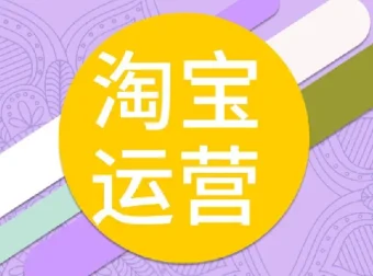 照顾酱电商人修炼手册：从0到1掌握淘宝运营底层逻辑