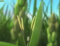 斑马百科：改变世界的20大发明