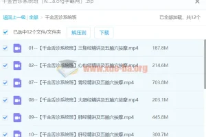 千金舌诊系统班