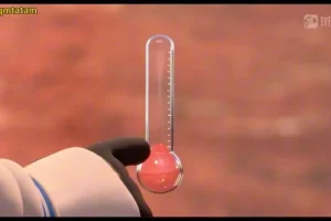 斑马百科：火星探索指南