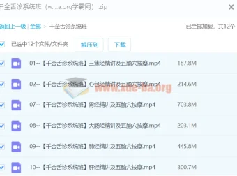 千金舌诊系统班