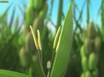 斑马百科：改变世界的20大发明