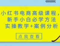 小红书零基础电商高级实操课：含案例分析