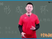 陈金羽毛球教学全集：从入门到高手实战技巧
