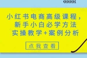 小红书零基础电商高级实操课：含案例分析