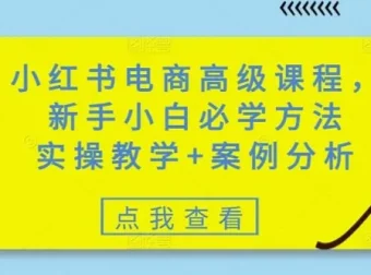 小红书零基础电商高级实操课：含案例分析