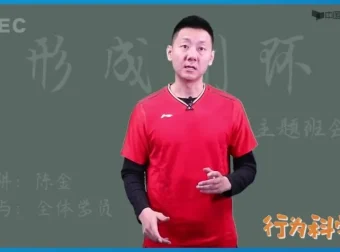 陈金羽毛球教学全集：从入门到高手实战技巧