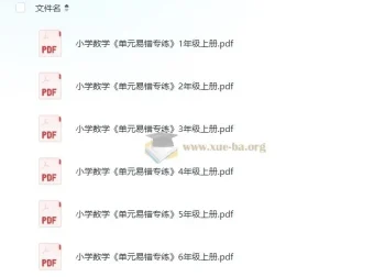 王朝霞《小学数学单元易错专练·上学期》