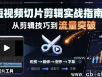 短视频切片剪辑实战：快速涨粉变现指南