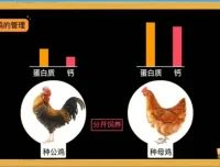 乐乐课堂生物动画大百科：6 – 15岁孩子趣味生物学习指南