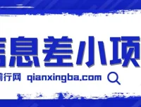 信息差小项目：新手也能玩赚，轻松日赚百元【全套工具】
