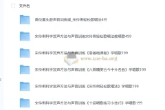 宋伶俐老师声乐课程合集