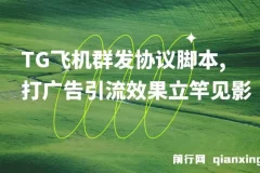 【引流必备】TG飞机群发协议脚本：批量采集群私聊，高效广告引流