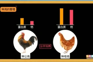 乐乐课堂生物动画大百科：6 – 15岁孩子趣味生物学习指南