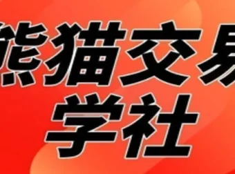 熊猫交易学社黄金VIP系统课：日常加钟小段