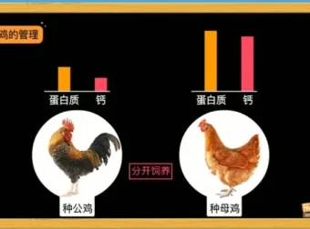 乐乐课堂生物动画大百科：6 – 15岁孩子趣味生物学习指南
