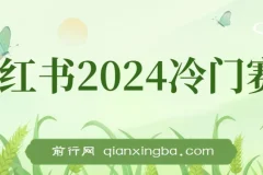 小红书2024冷门赛道暴力变现4.0：纯小白月入3万+的喂饭级课程