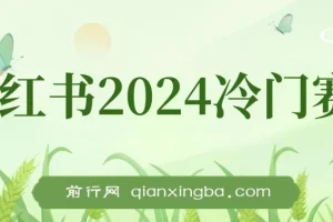 小红书2024冷门赛道暴力变现4.0：纯小白月入3万+的喂饭级课程