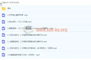 猿辅导王亮亮初三数学秋季课程