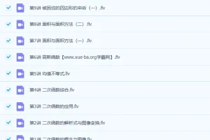 徐德直初二数学春季目标班13讲课程