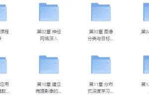 算法工程师高级深度学习课程