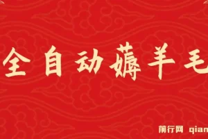 全自动薅羊毛项目：零门槛，新手与工作室均可操作多平台获利