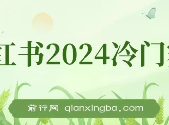 小红书2024冷门赛道暴力变现4.0：纯小白月入3万+的喂饭级课程