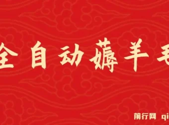 全自动薅羊毛项目：零门槛，新手与工作室均可操作多平台获利