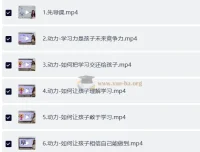 小太阳北大学霸十合一精品课视频课程