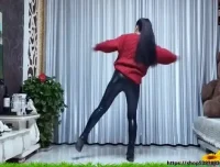 抖音热门舞蹈全攻略：从入门到精通