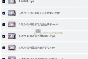 小太阳北大学霸十合一精品课视频课程