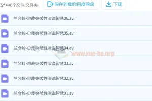兰彦岭《总裁突破性演说智慧》