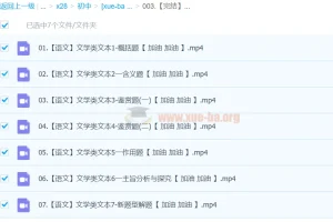 2024中考语文文学类文本一本通
