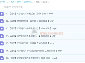 2024中考语文文学类文本一本通